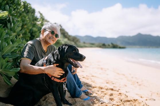 Person and dog at the beach